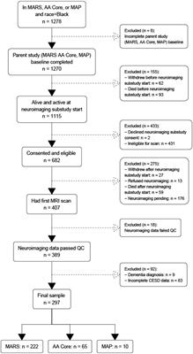 Late-life depressive symptoms and white matter structural integrity within older Black adults